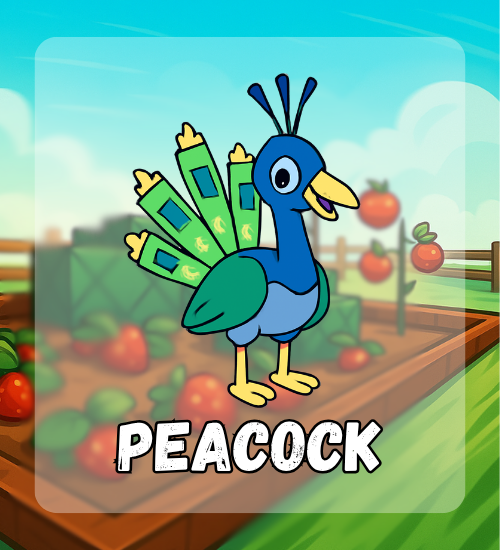 Peacock