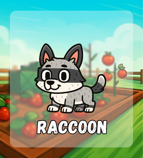 Raccoon