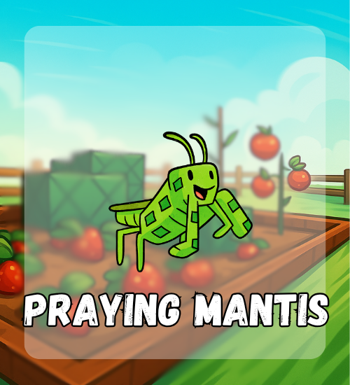 Praying Mantis